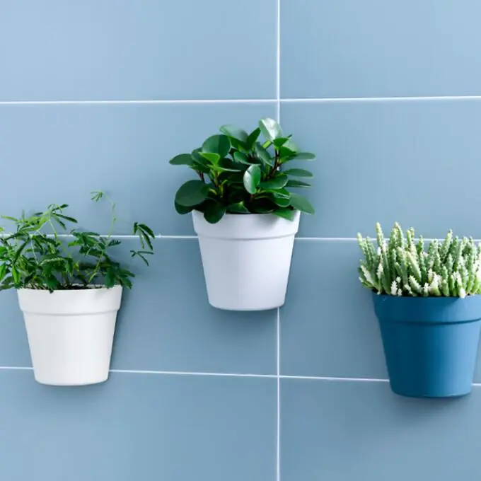 Wall Hydroponic Pot view 3