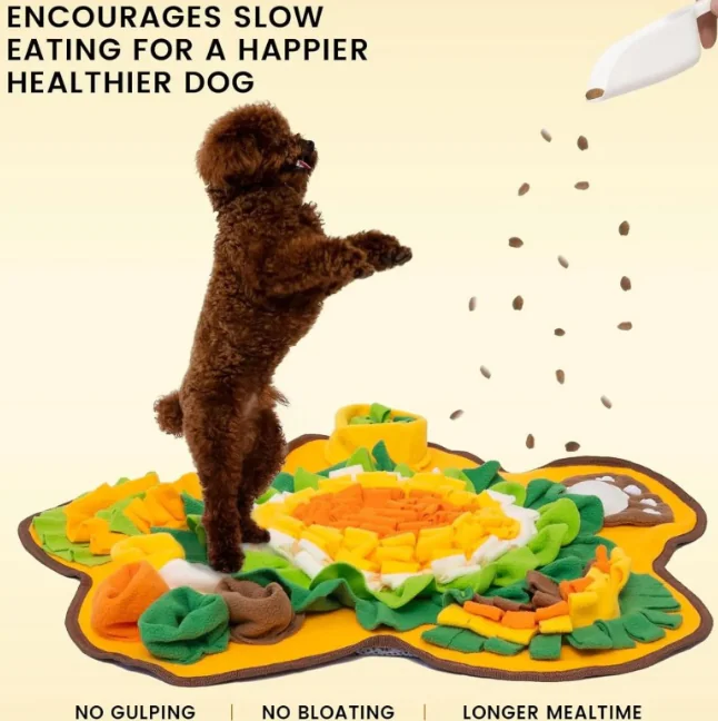 Flower-shaped Dog Cat Training