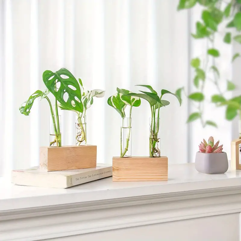 Propagation Station view 3
