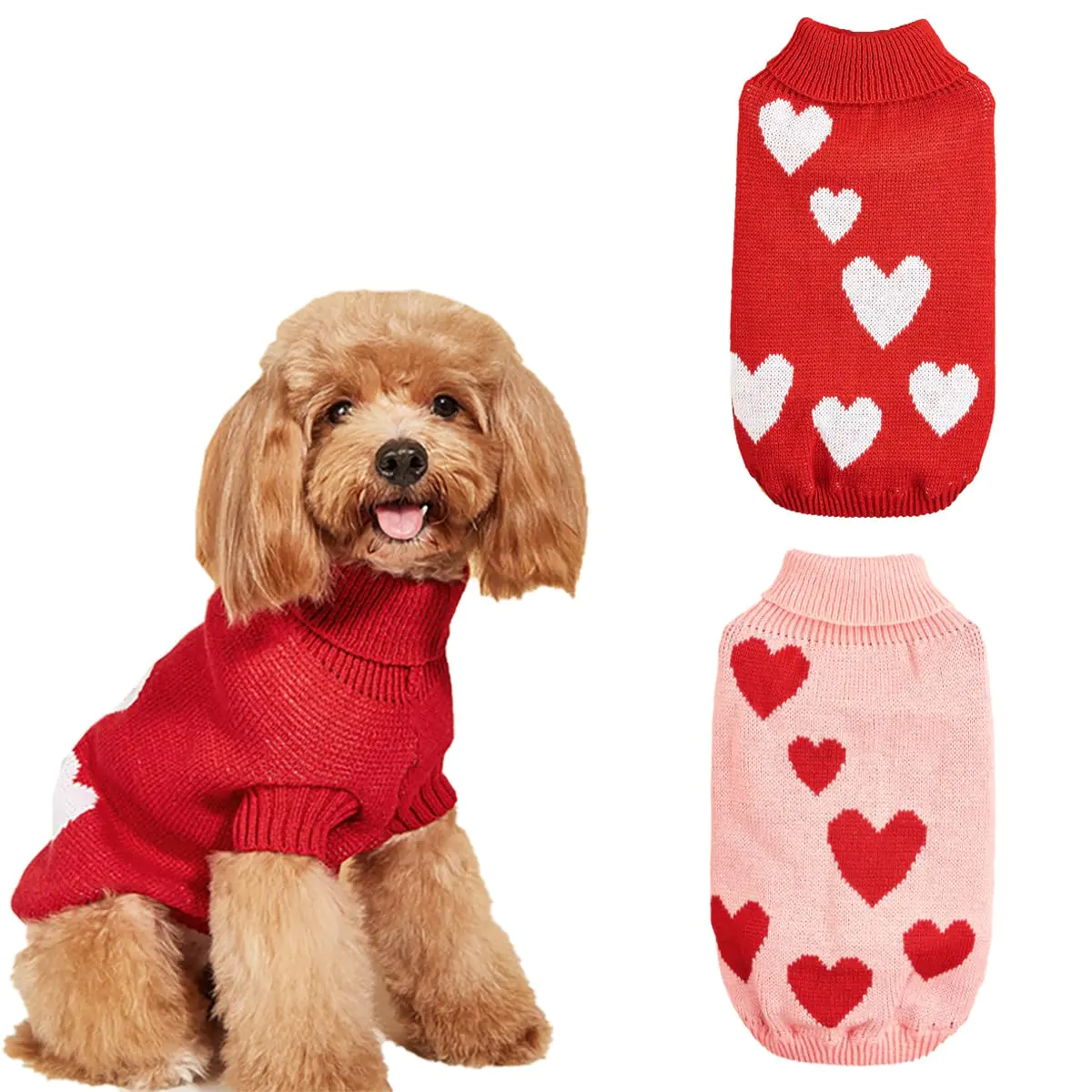 Ali2 Valentines Day Dog