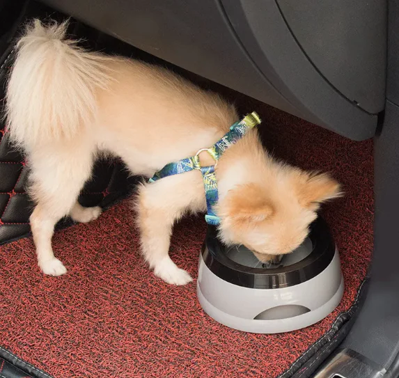 Splash-Proof Travel Dog Water Bowl