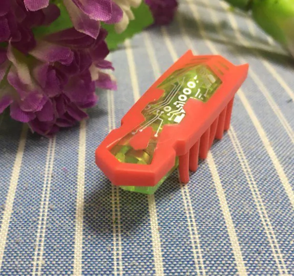 Interactive Moving Beetle Cat Toy