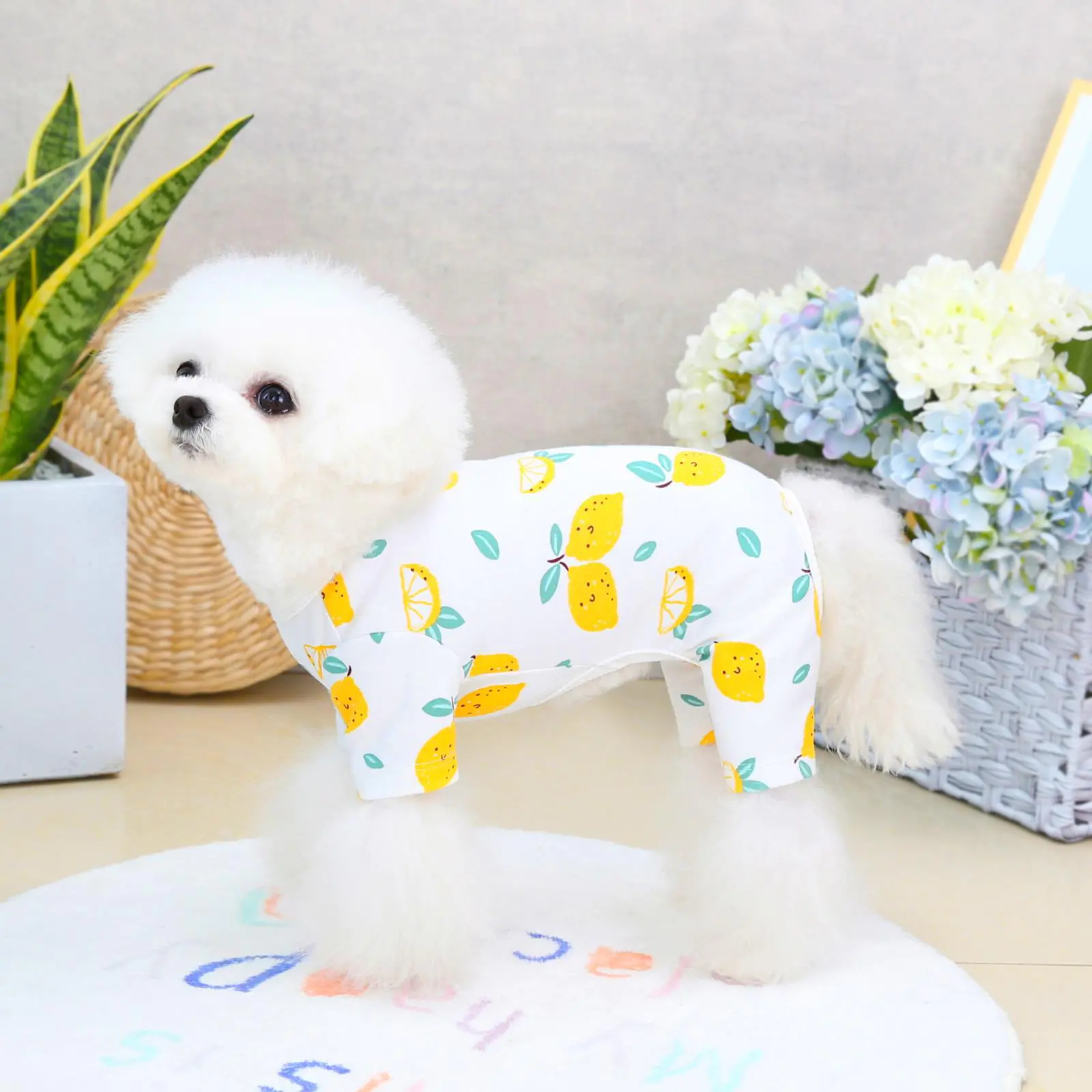 Four-legged Pets