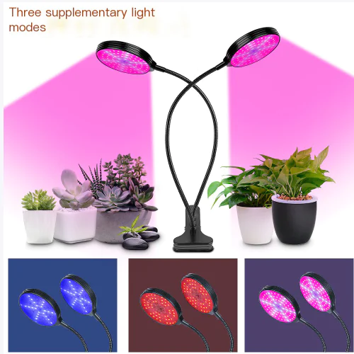 Grow Light view 3