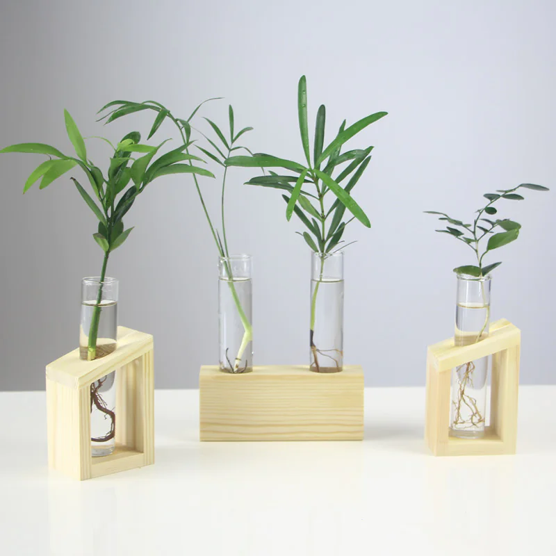 Hydroponic Vase view 2