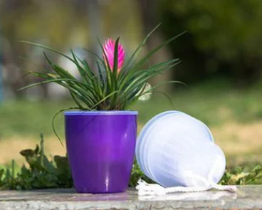 Self-Watering Planter view 2