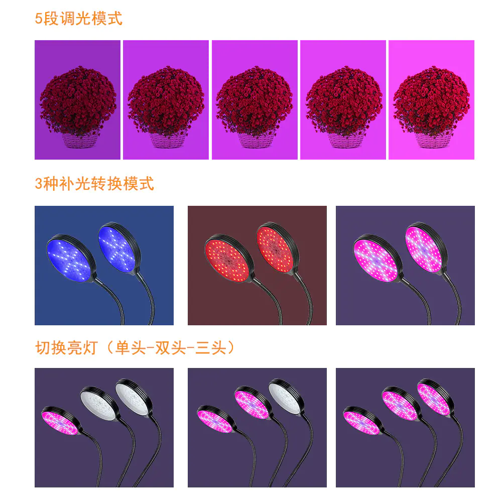 Grow Light