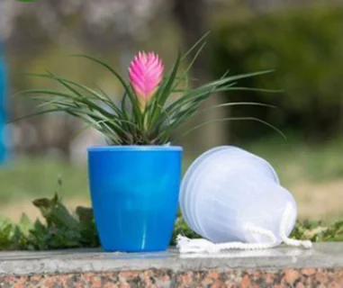 Self-Watering Planter view 4