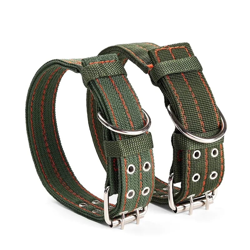 Adjustable Everyday Dog Collar