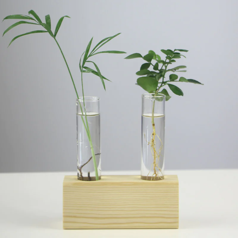 Hydroponic Vase view 4