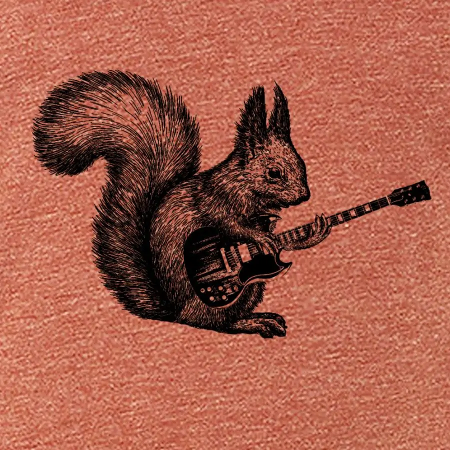 Rock Roll Squirrel