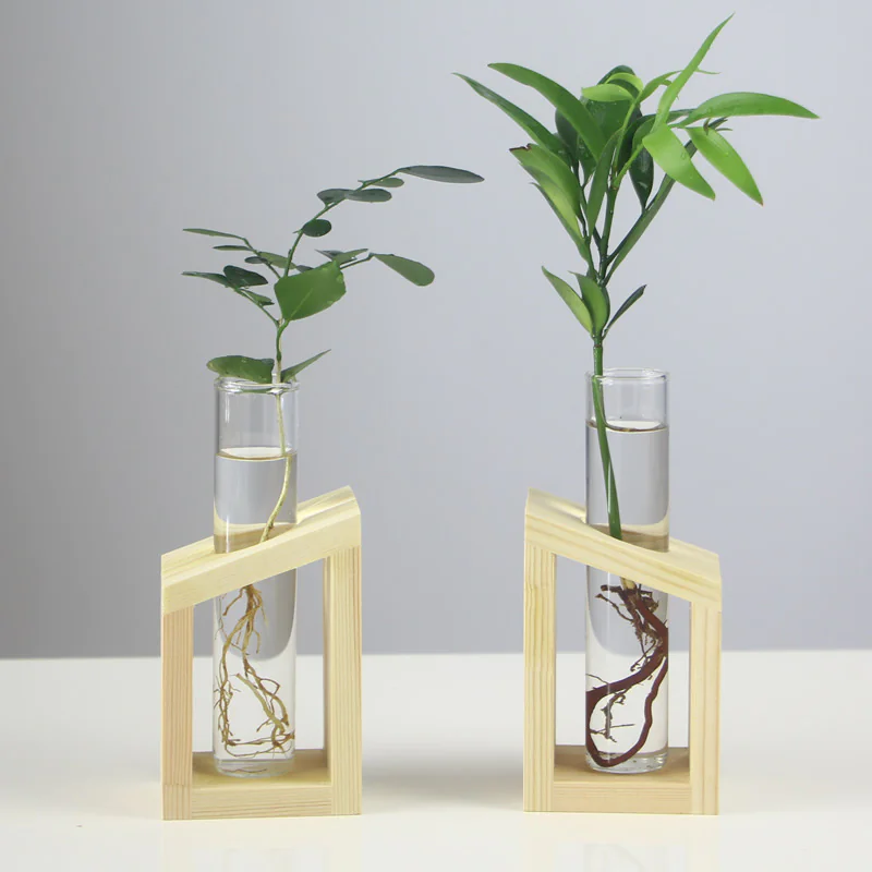 Hydroponic Vase view 3