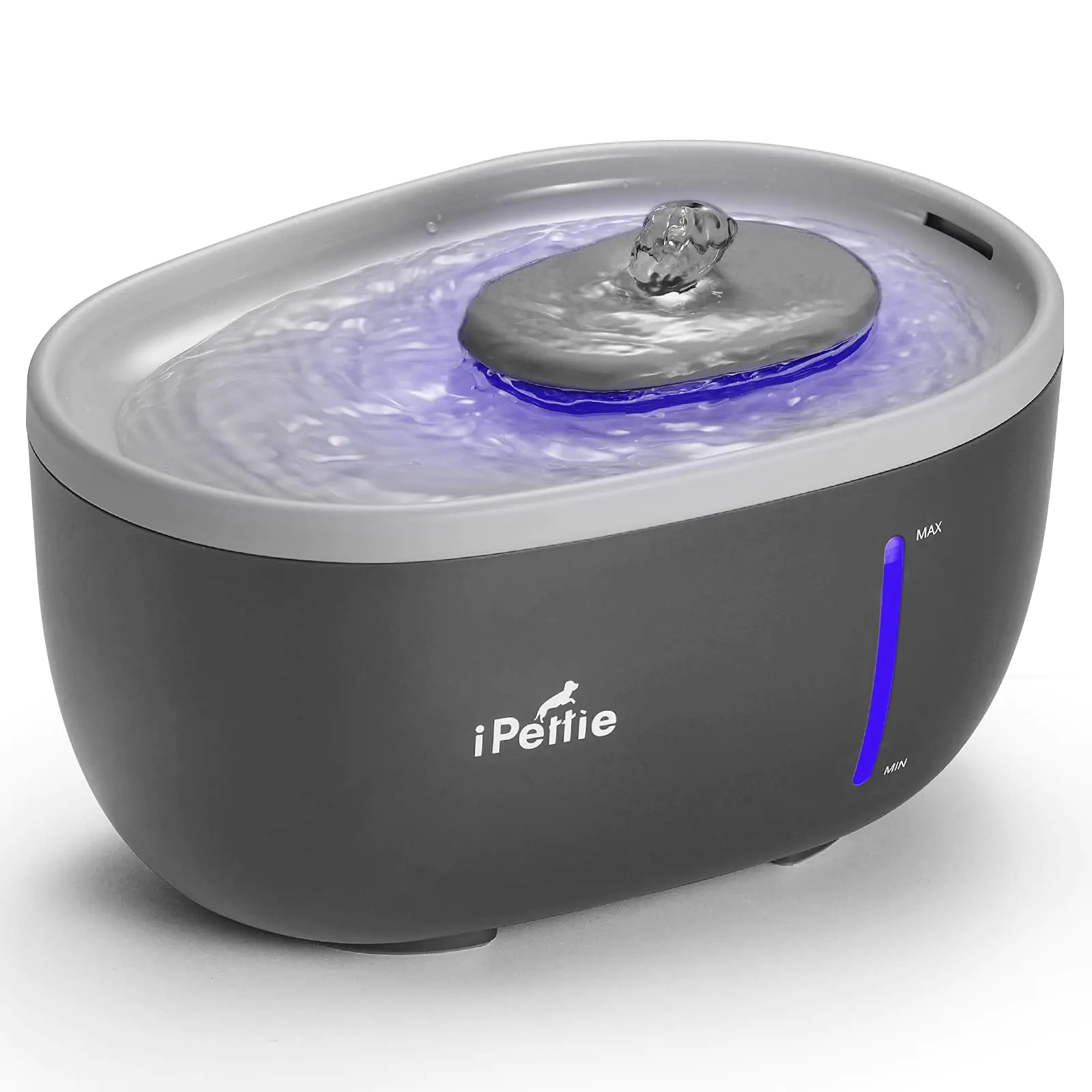 Ipettie Avocado Pet Water
