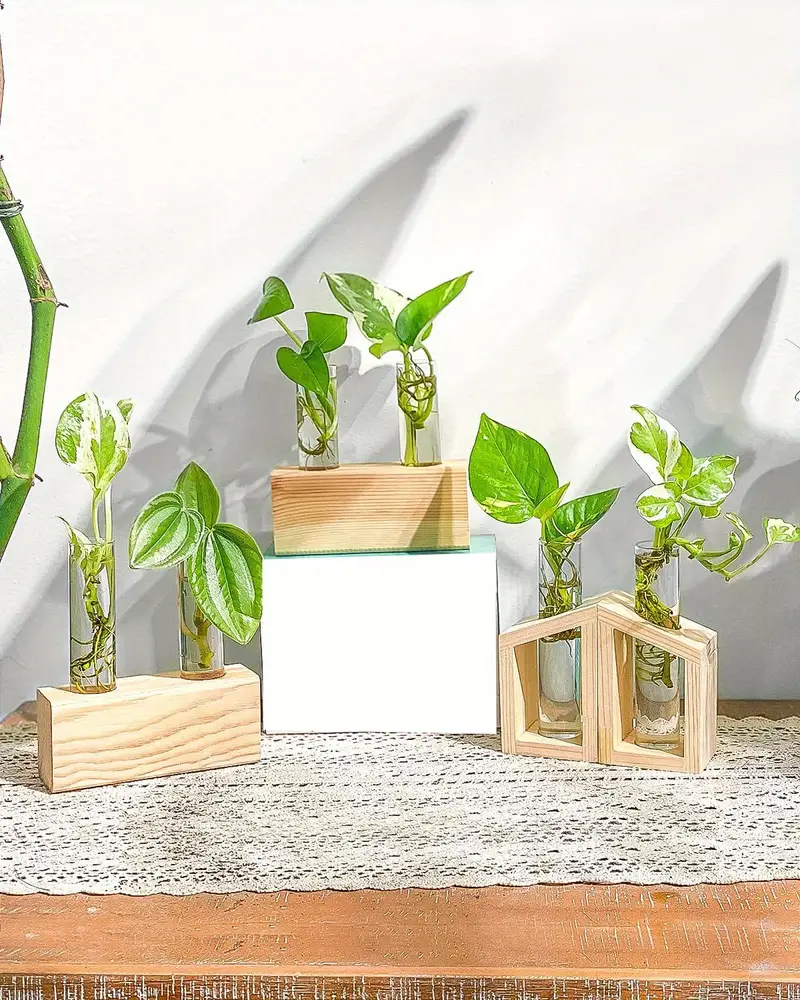 Propagation Station