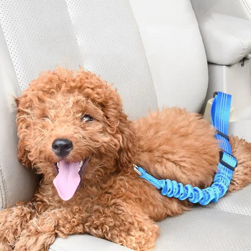 Elastic Dog Car Seat Belt