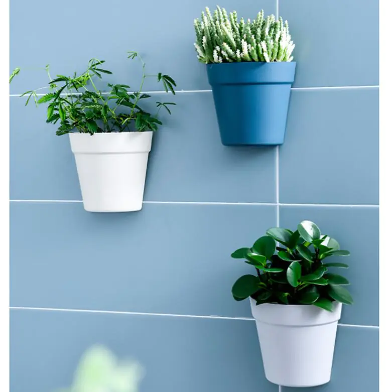 Wall Hydroponic Pot view 4